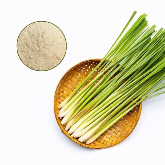 Bán sỉ Bột Sả Khô Gia vị nguyên chẩt
